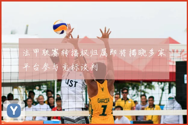 法甲联赛转播权归属即将揭晓多家平台参与竞标谈判